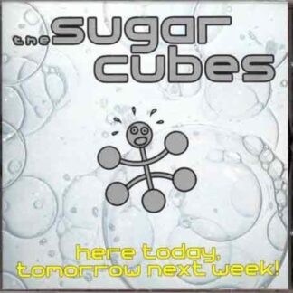 Sugarcubes, The - Here Today Tomorrow [Import] (Vinyl)