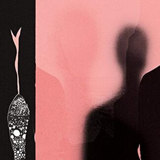 H. Hawkline ‎– In The Pink Of Condition (Vinyl)