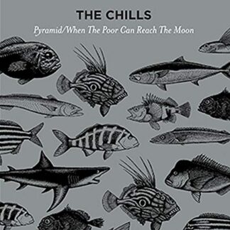 Chills, The ‎– Pyramid / When The Poor Can Reach The Moon (Vinyl)