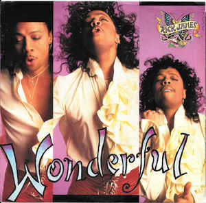 Rick James ‎– Wonderful (7" Vinyl)