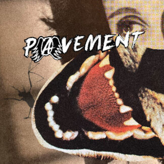 Pavement - Hecklers Choice: Big Gums And Heavy Lifters - A Pavement Collection (Vinyl)