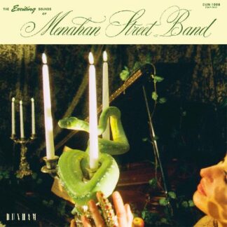 Menahan Street Band - The Exciting Sounds Of Menahan Street Band (Vinyl)