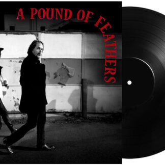 Black Crowes, The - A Pound Of Feathers (180 Gram Vinyl)