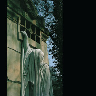 Dead Can Dance - Within the Realm of a Dying Sun (Vinyl)