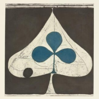 Grizzly Bear - Shields (Vinyl)
