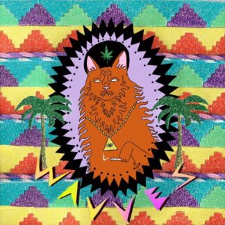 Wavves - King Of The Beach (Vinyl)