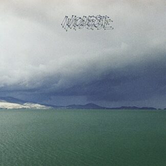 Modest Mouse ‎– The Fruit That Ate Itself (Vinyl)