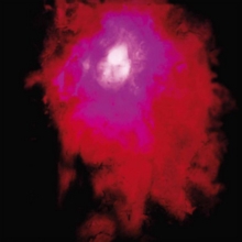 PORCUPINE TREE - UP THE DOWNSTAIR (2LP )