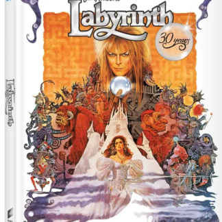Labyrinth [Anniversary Edition] [Includes Digital Copy] [UltraViolet] [Blu-ray] (1986)