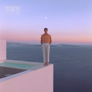 Washed Out - Purple Noon (Vinyl)