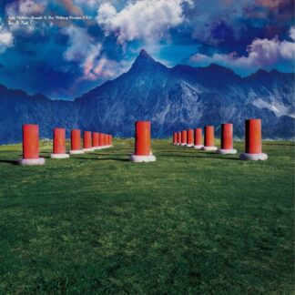 Acid Mothers Temple & the Melting Paraiso U.F.O. - In A Not C (Vinyl)