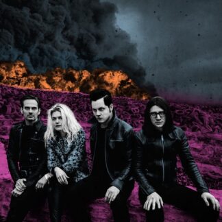 Dead Weather, The - Dodge And Burn (Vinyl)