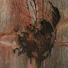 Slasher Flicks – Enter The Slasher House