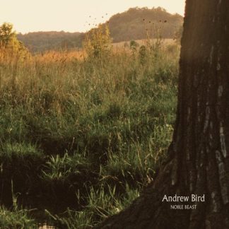 Andrew Bird ‎– Noble Beast (Vinyl)