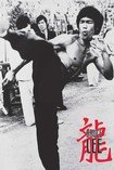 Bruce Lee / High Kick Poster - Hi-Fi Hits