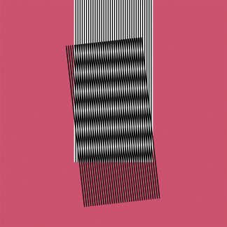 Hot Chip - Why Make Sense? (Vinyl)