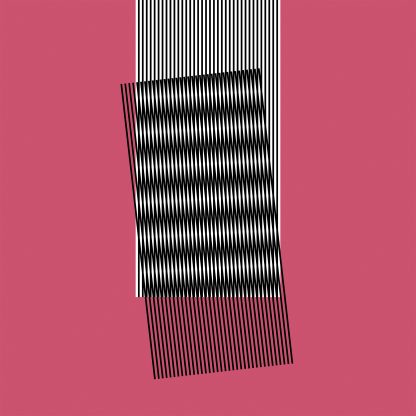 Hot Chip - Why Make Sense? (Vinyl)