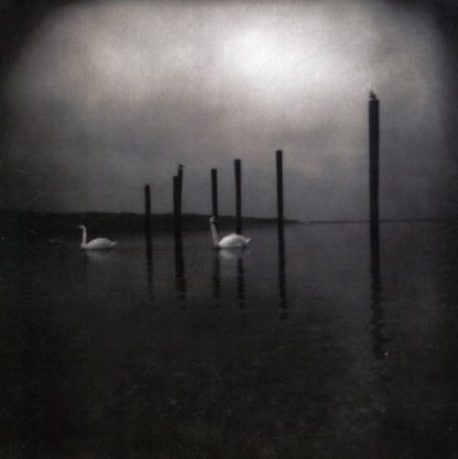 Om - Conference of the Birds (Vinyl)