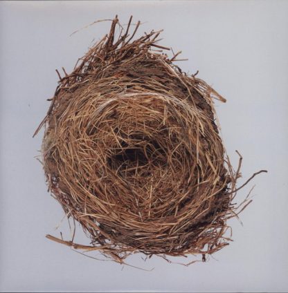 Wilco - A Ghost Is Born (Vinyl)