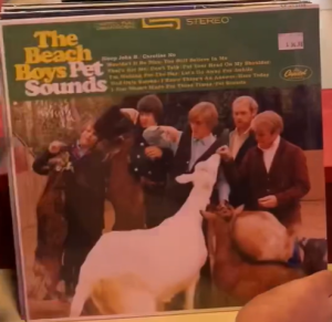 Happy Release Friday