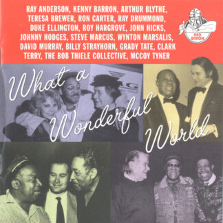 Various – What A Wonderful World (CD)