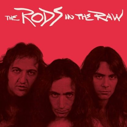 Rods, The - In the Raw - Hot Pink / Black Bi-Color  (Colored Vinyl, Pink, Black)