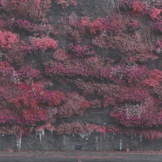 Sleep Token - Even In Arcadia (Booklet, Shrink Wrapped) (CD)