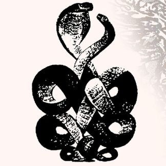 Bardo Pond - Volume 4 & 5 (Vinyl, Gatefold LP Jacket, Digital Download Card)