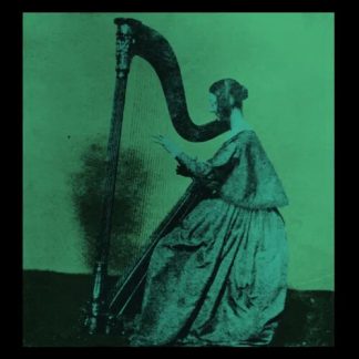 TV Girl - Grapes Upon The Vine (United Kingdom - Import) (Vinyl)