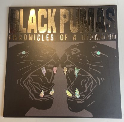 Black Pumas – Chronicles Of A Diamond (Vinyl, Limited Edition, Black & Silver)