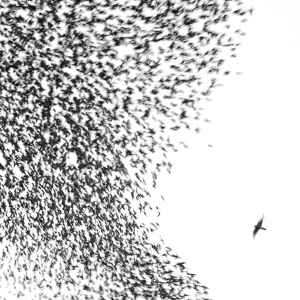 Wilco – Sky Blue Sky (CD)