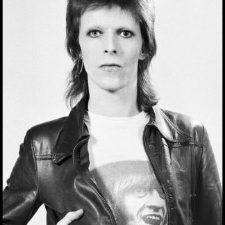 David Bowie | Portait B/W (Poster)