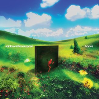 Rainbow Kitten Surprise - bones Banana (Parental Advisory Explicit Lyrics, Indie Exclusive, Colored Vinyl, Yellow) *Pre-Order*