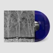 Pile - Sunshine & Balance Beams - [Explicit Content] (Parental Advisory Explicit Lyrics, Colored Vinyl, Purple)