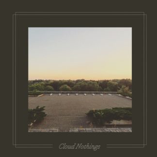 Cloud Nothings - The Black Hole Understands (Colored Vinyl, Gold)