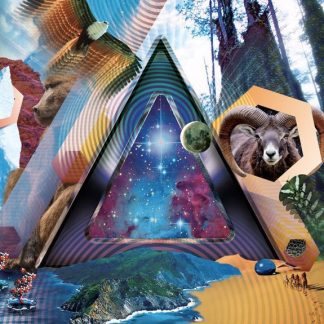 311 – Universal Pulse (Vinyl)