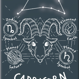 Horoscope - Capricorn (Magnet)