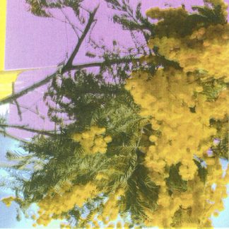 Four Tet - Into Dust (Still Falling) (Indie Exclusive, Extended Play)