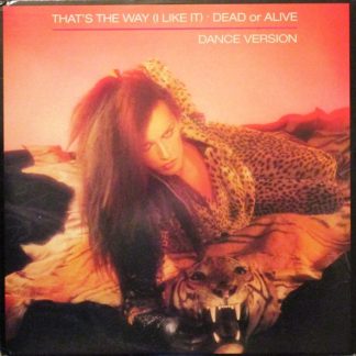 Dead Or Alive – That's The Way (I Like It) (Dance Version) (Vinyl)
