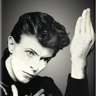 David Bowie - "Heroes" (Magnet)
