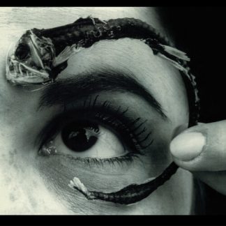 Mr Bungle - Disco Volante (RKTBR25)  (Vinyl, Clear, Light Blue, Brick & Mortar Exclusive) **PRE ORDER**