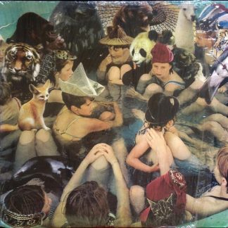 Panda Bear – Person Pitch (Vinyl)