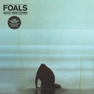 Foals - What Went Down (Anniversary Edition, Vinyl)