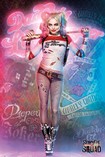 Harley Quinn / Suicide Squad Poster
