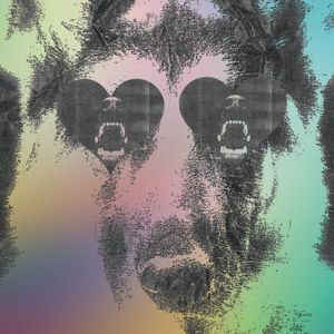 Crocodiles ‎– Boys