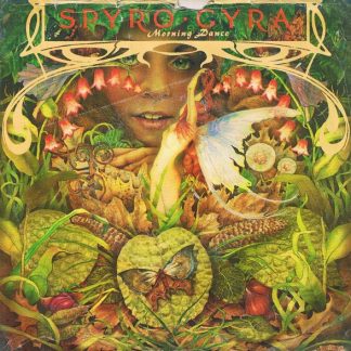 Spyro Gyra – Morning Dance (7")