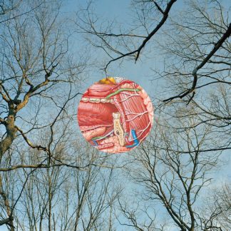 They Might Be Giants - Glean (Clear Vinyl, Red)