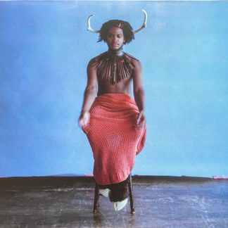 Shamir – Heterosexuality (Vinyl)