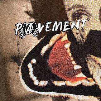 Pavement - Hecklers Choice: Big Gums And Heavy Lifters - A Pavement Collection (CD)