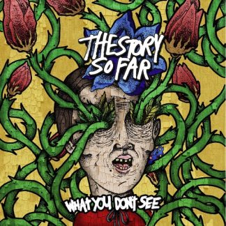 Story So Far, The - What You Don't See (Colored Vinyl, Blue, White, Splatter)